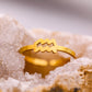 Aquarius Ring