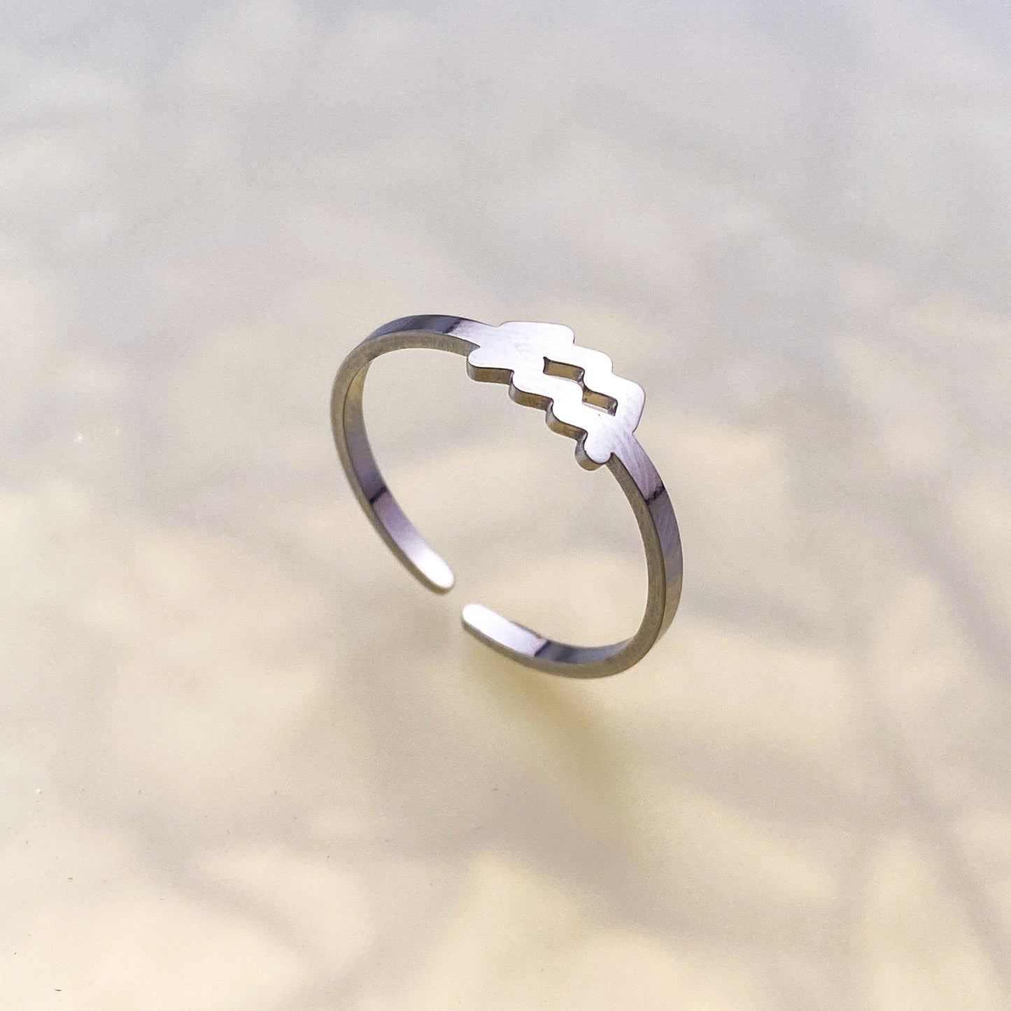 Zodiac Ring - Silver