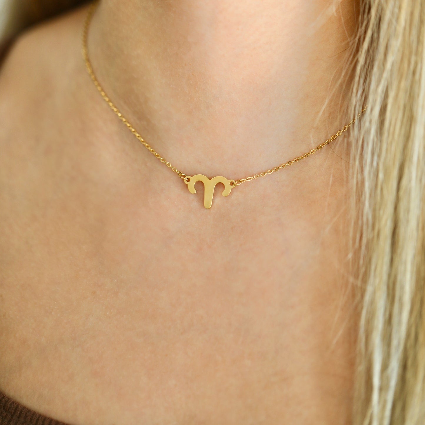 Aries Necklace