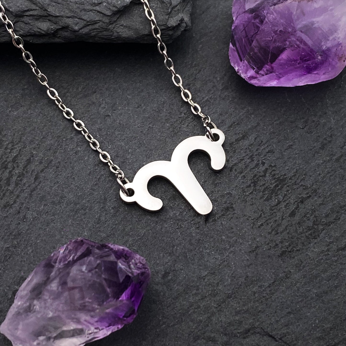 Zodiac Necklace - Silver