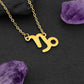 Capricorn Necklace