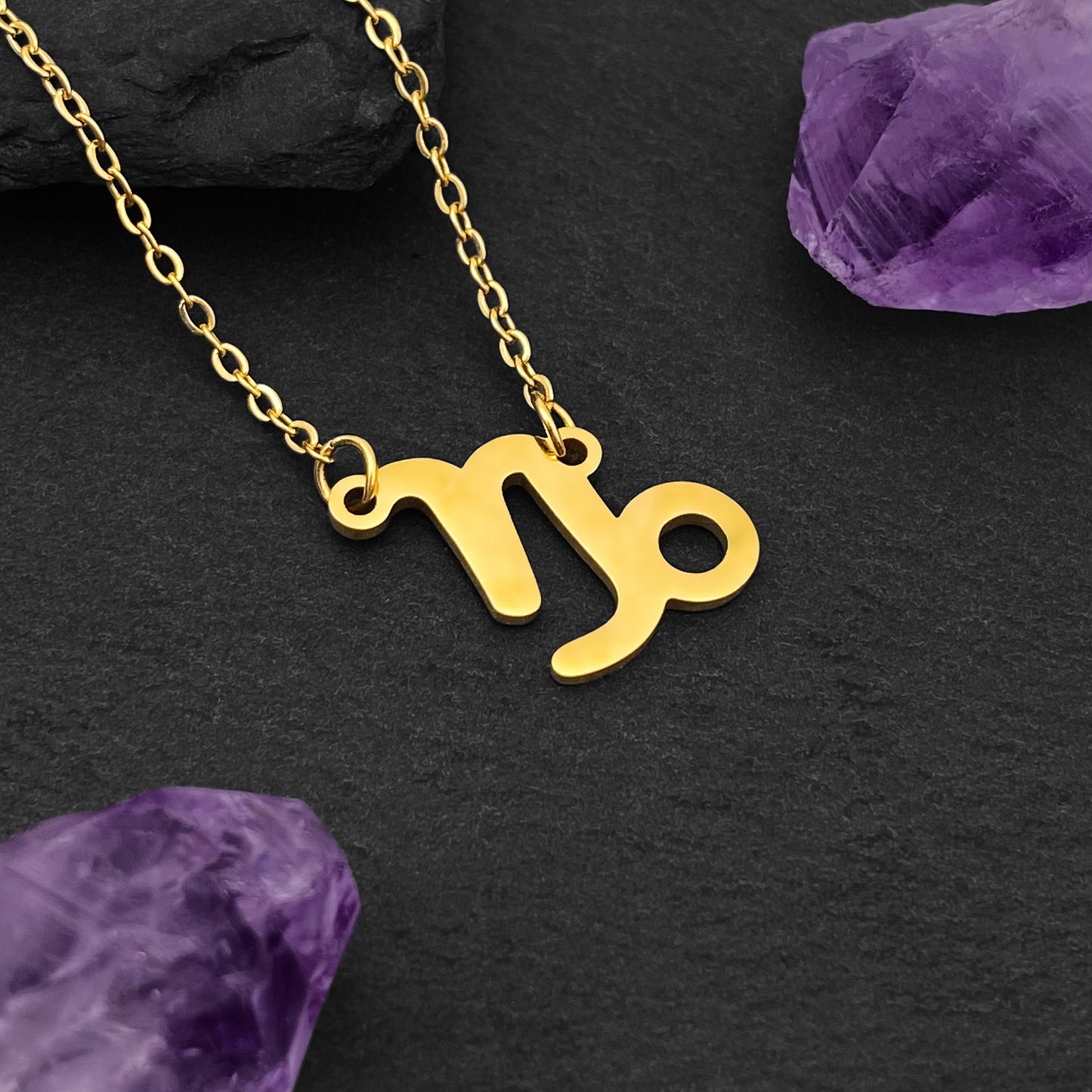 Capricorn Necklace