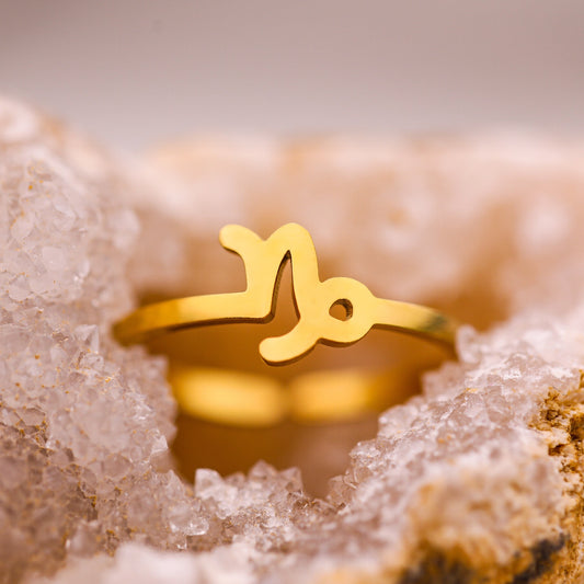 Capricorn Ring