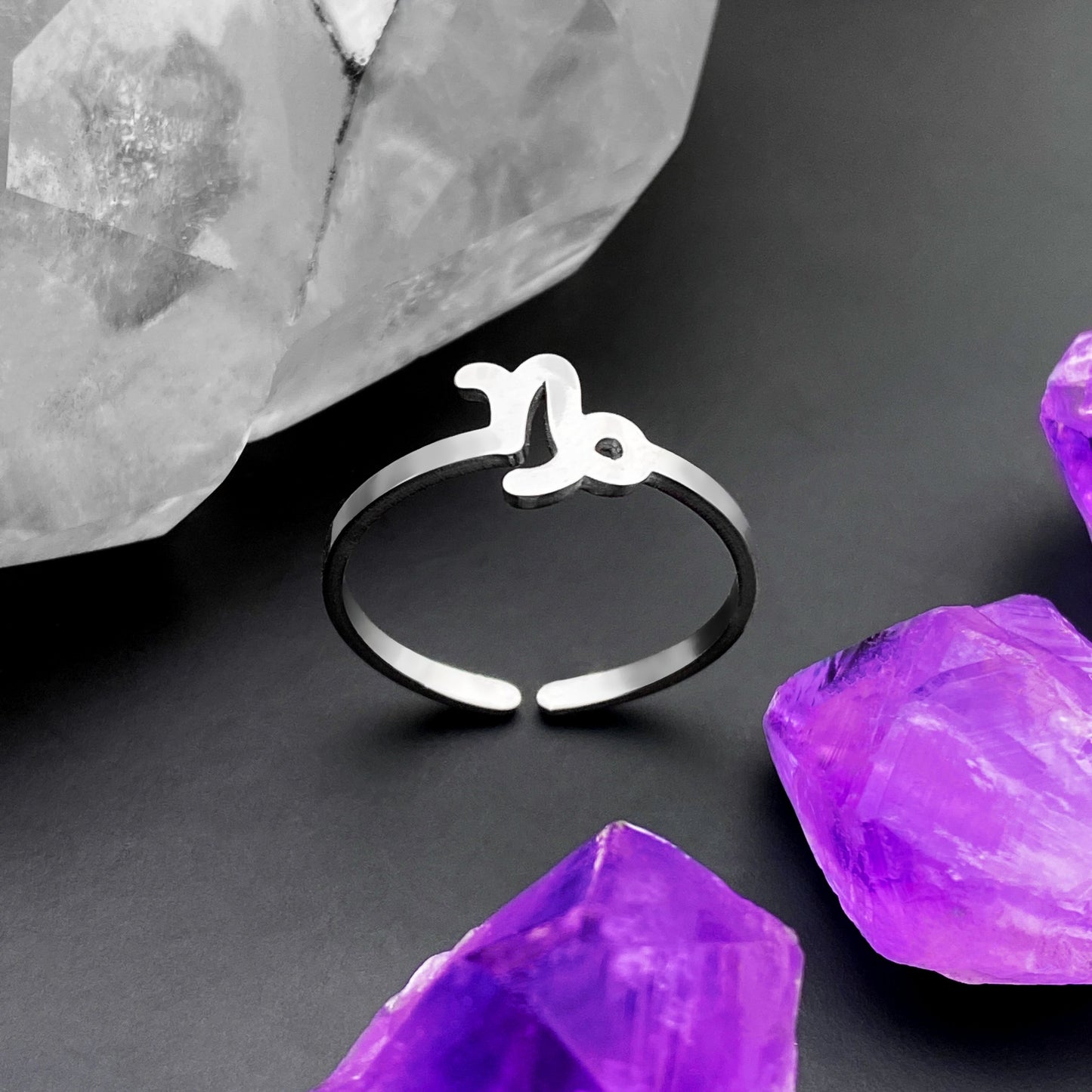 Capricorn Ring