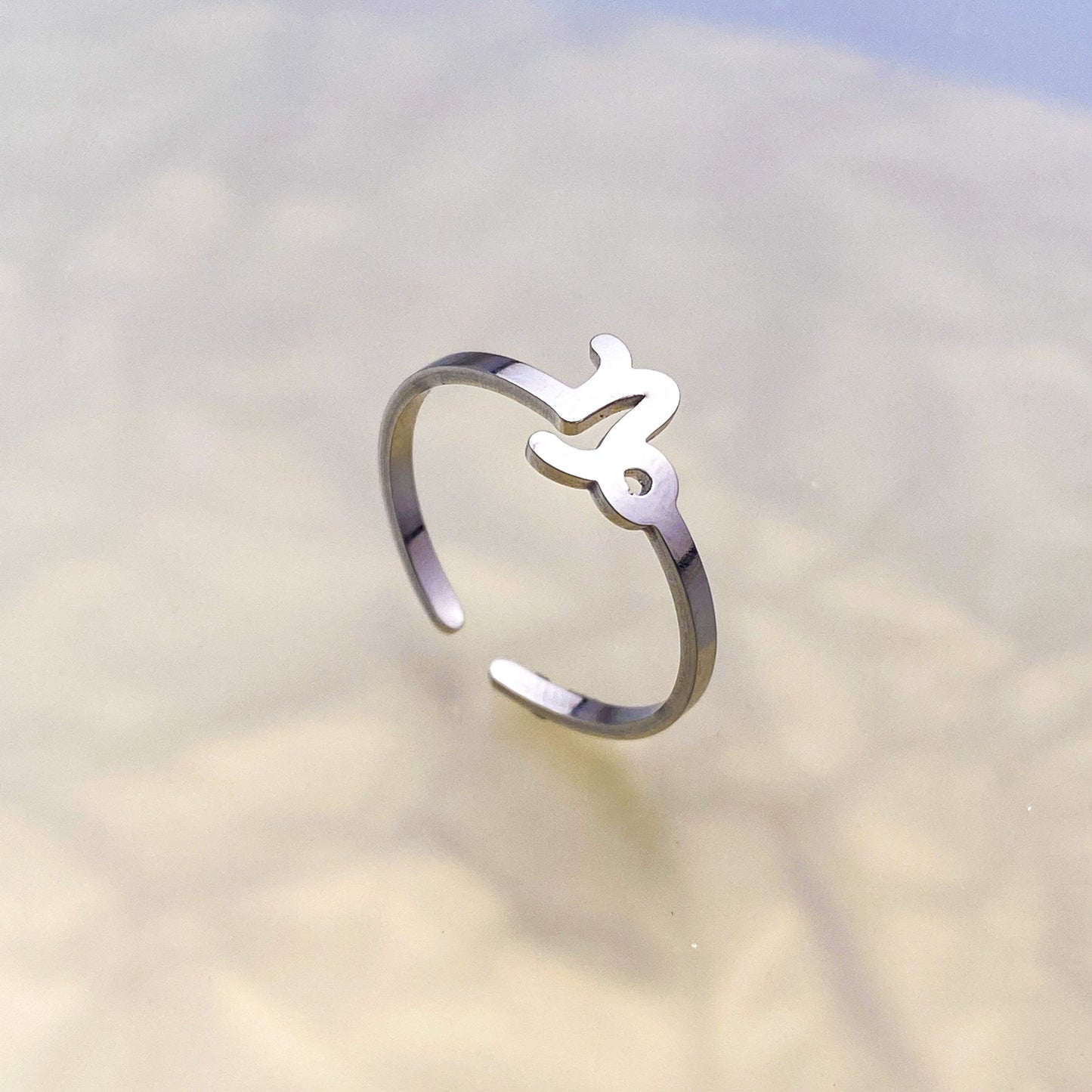 Capricorn Ring