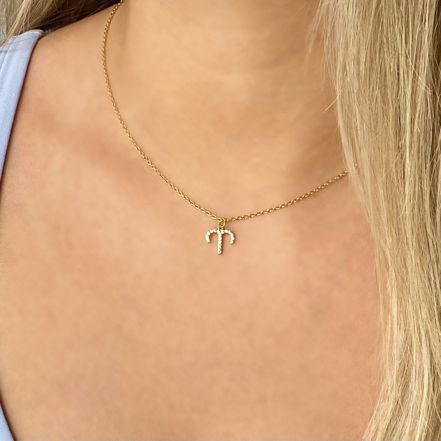Delicate Aries Necklace