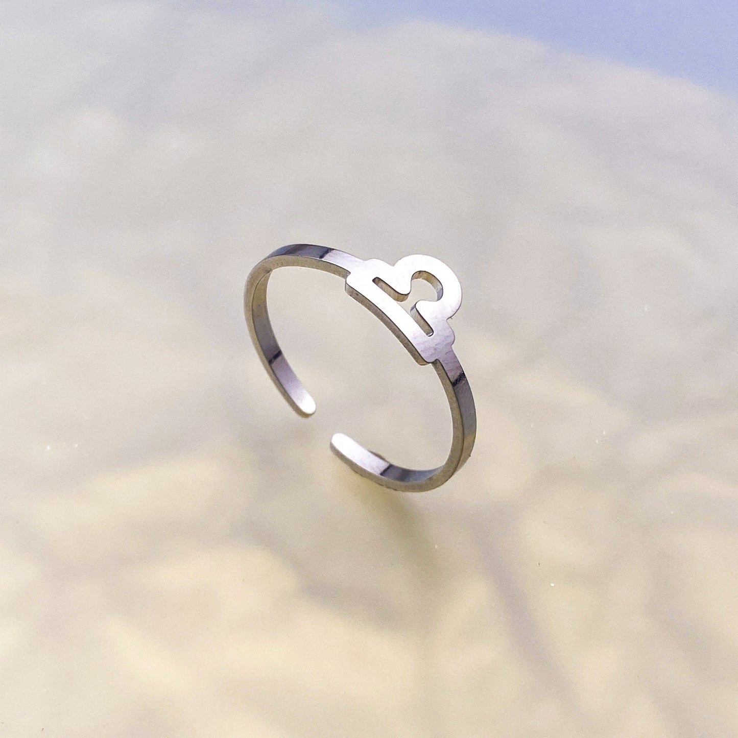 Zodiac Ring - Silver
