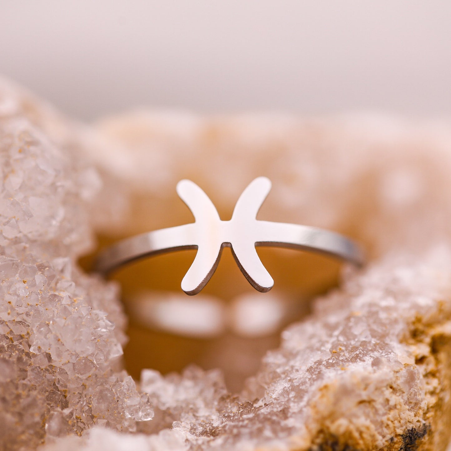 Pisces Ring