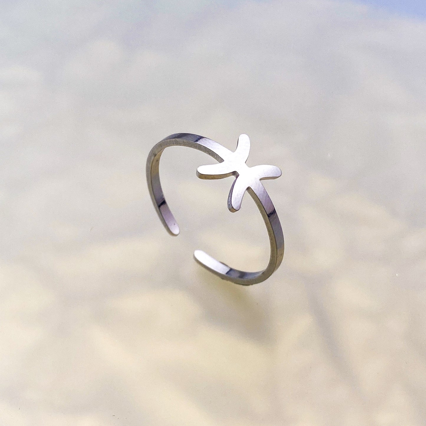 Zodiac Ring - Silver