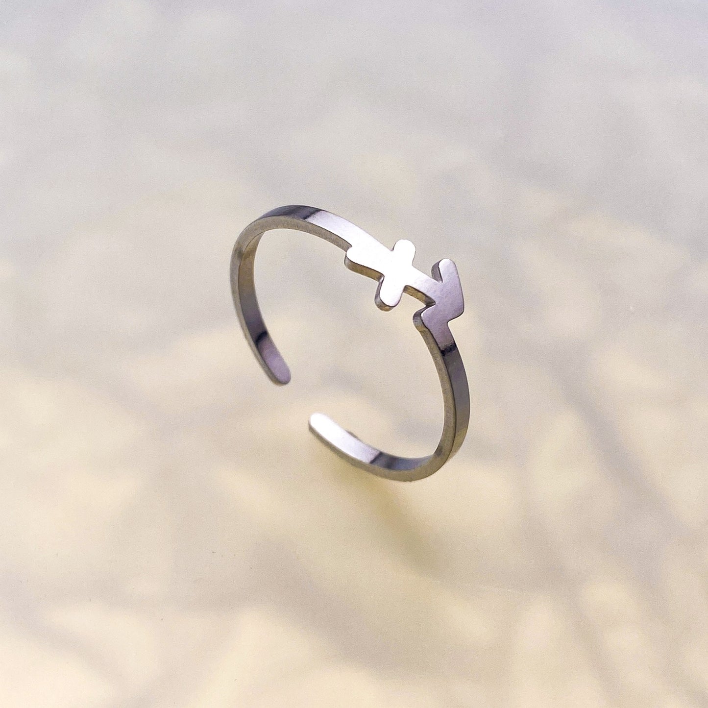 Zodiac Ring - Silver