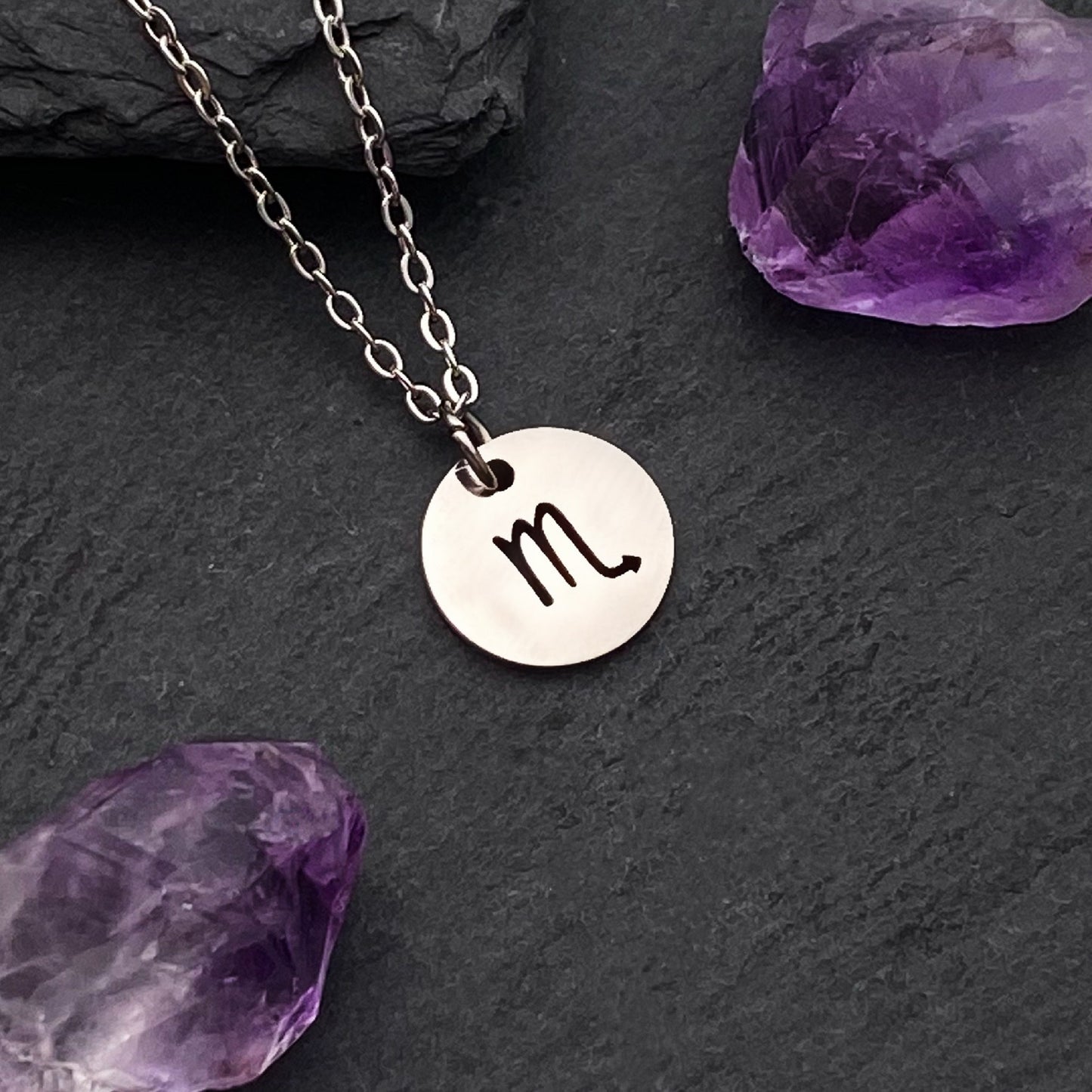 Scorpio Coin Necklace