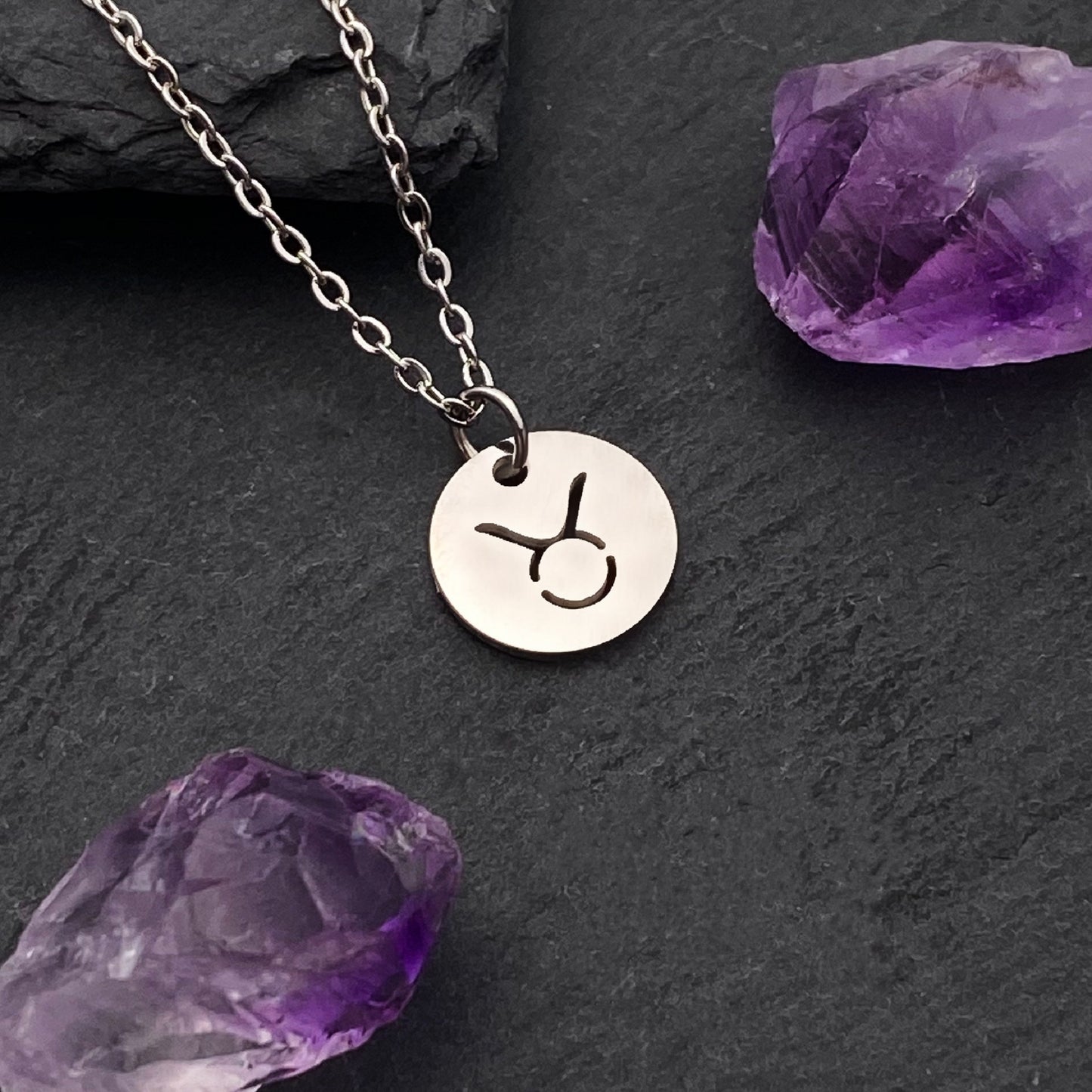 Taurus Coin Necklace